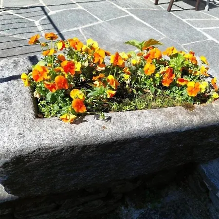 Vakantiehuis Casa Luigia Orselina